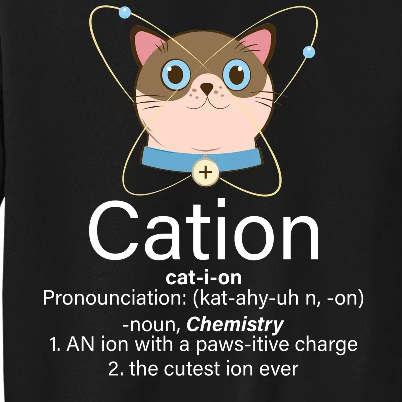 Cation Science Joke Funny Tall Sweatshirt