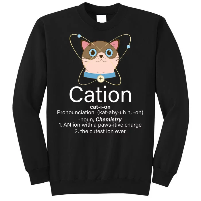 Cation Science Joke Funny Tall Sweatshirt