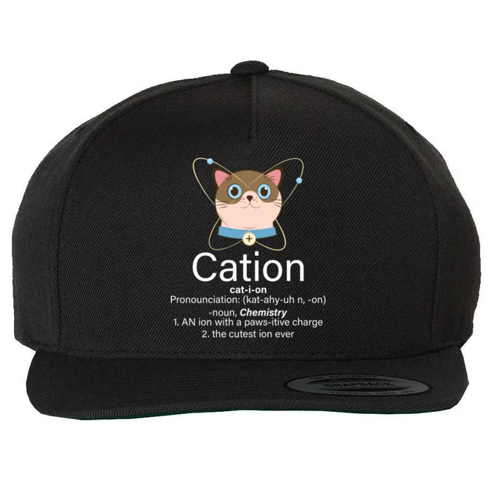 Cation Science Joke Funny Wool Snapback Cap