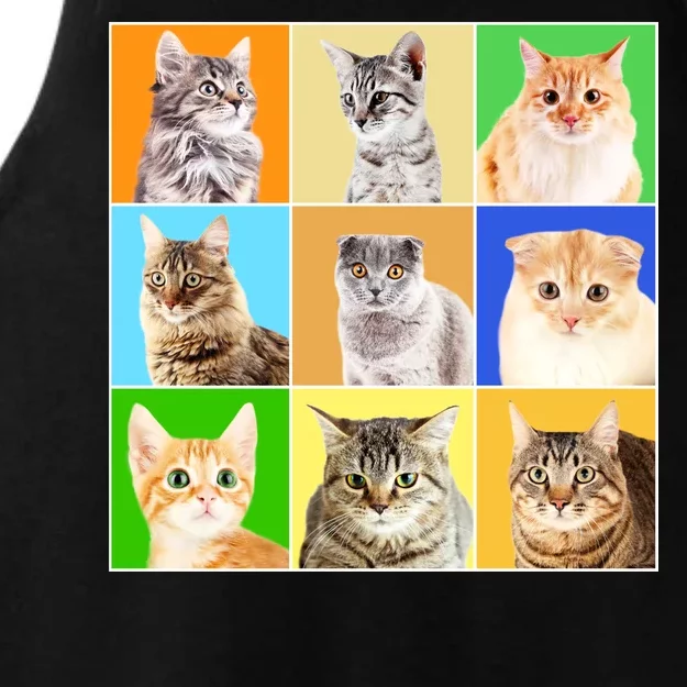 Cats Photo Portraits Collage Ladies Tri-Blend Wicking Tank