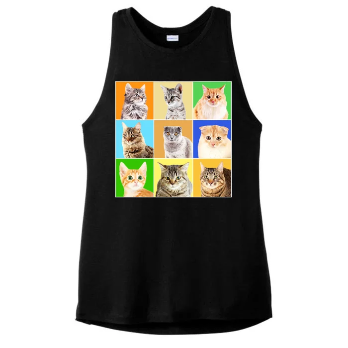 Cats Photo Portraits Collage Ladies Tri-Blend Wicking Tank