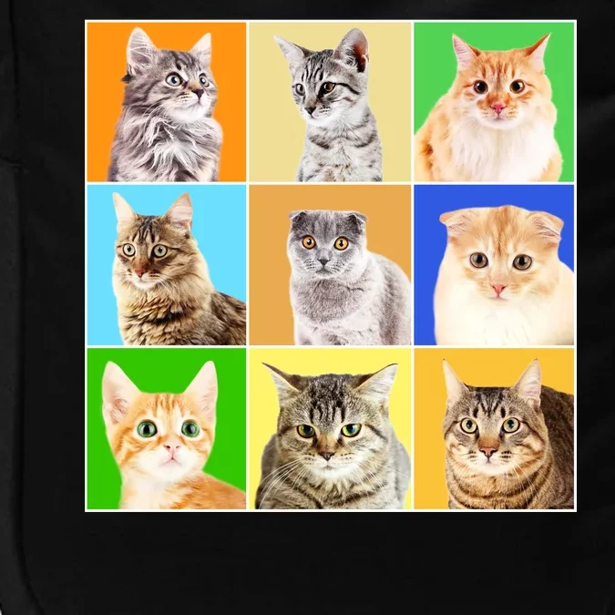 Cats Photo Portraits Collage Impact Tech Backpack