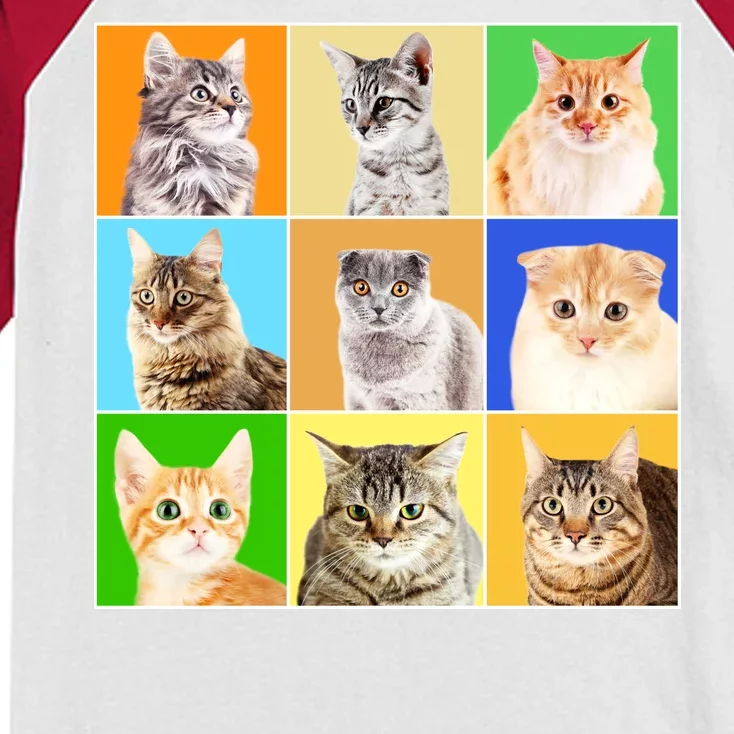 Cats Photo Portraits Collage Kids Colorblock Raglan Jersey