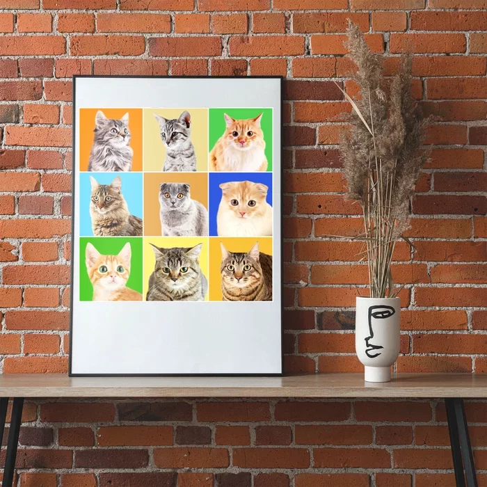 Cats Photo Portraits Collage Poster