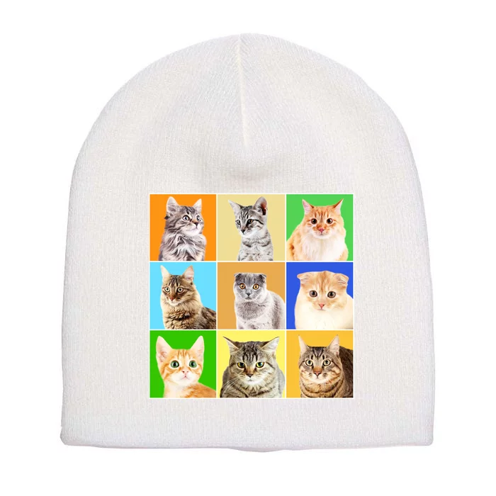 Cats Photo Portraits Collage Short Acrylic Beanie