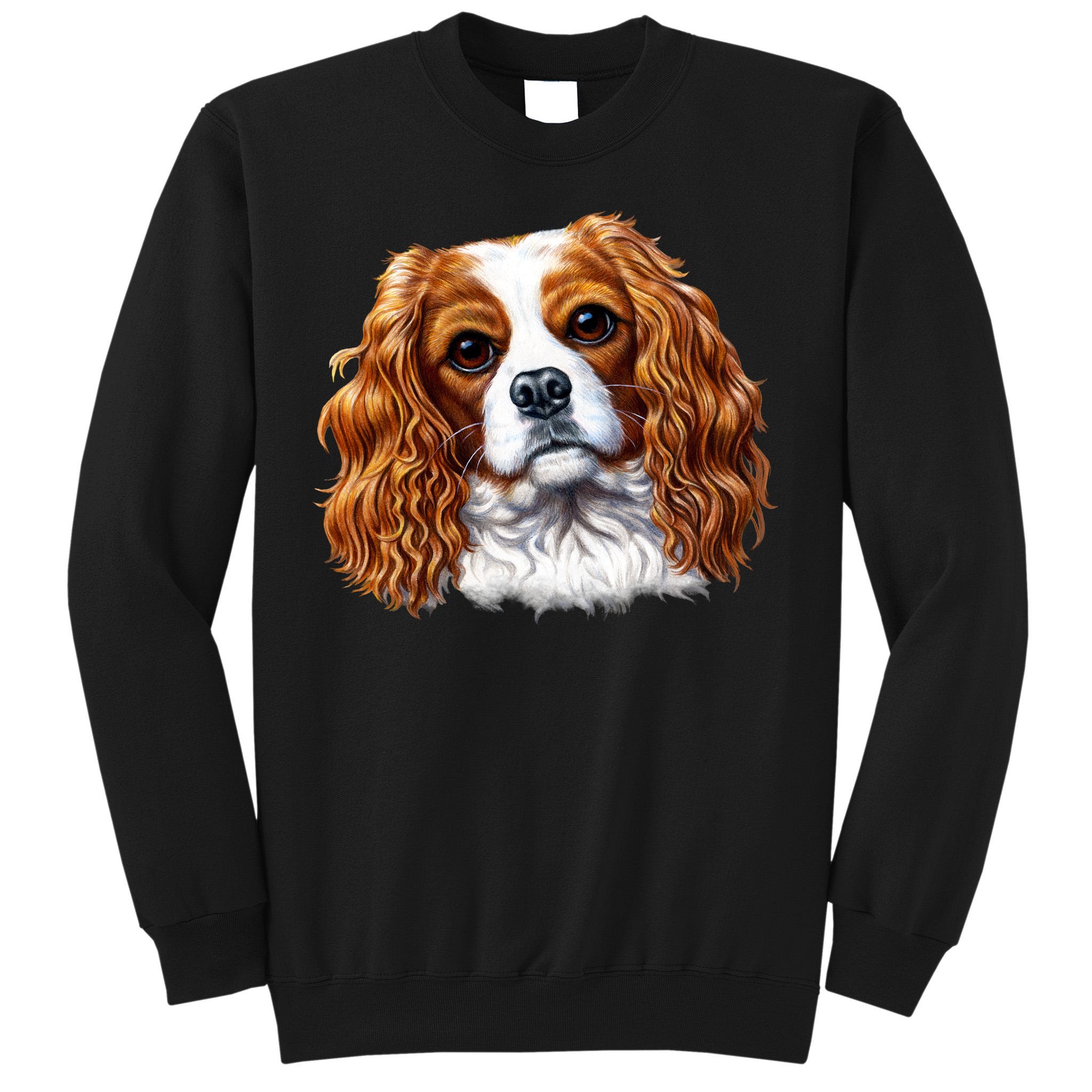 CJ  The Cavalier King Charles op Instagram : Thank you @dogdesignerlab  ❤️❤️❤️ for my Supreme LV hoodie! I think I look mighty fine in it if I do  say so myself