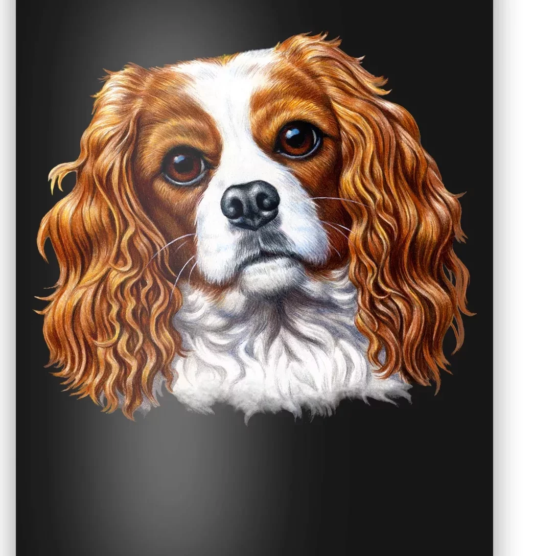 Cavalier King Charles Spaniel Dog Poster