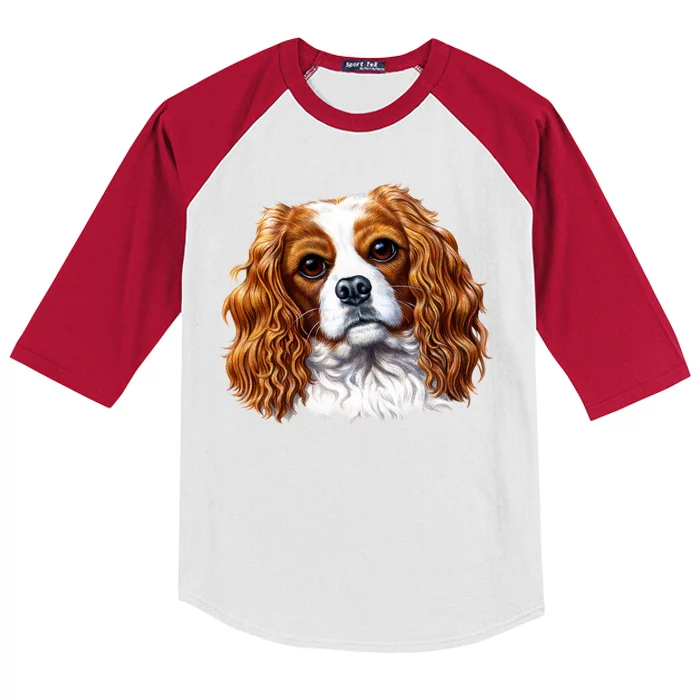 Cavalier King Charles Spaniel Dog Kids Colorblock Raglan Jersey