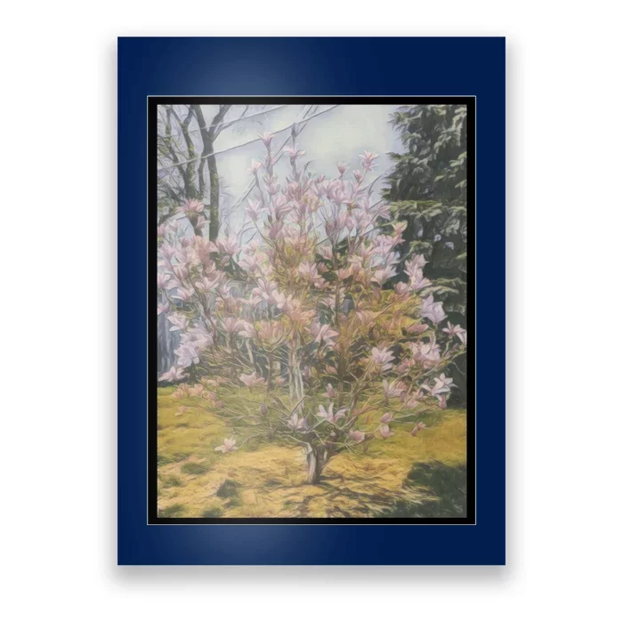 Cherry Blossoms Poster