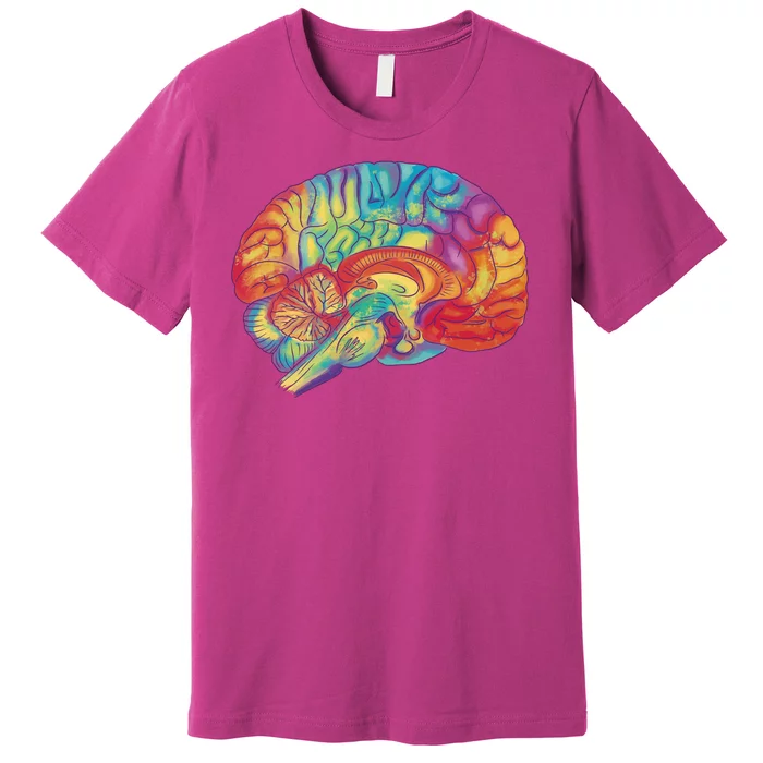 Colorful Brain Premium T-Shirt