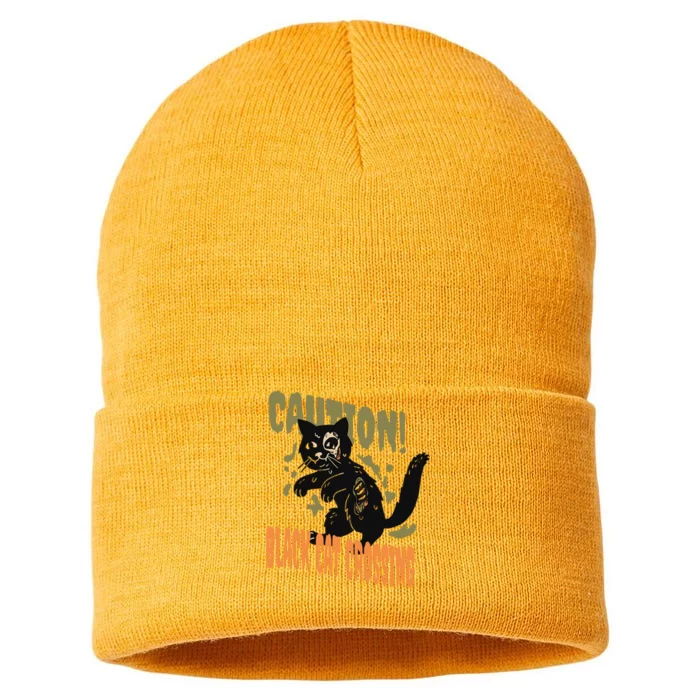 Caution Black Cat Crossing Scary Spooky Halloween Cute Gift Sustainable Knit Beanie