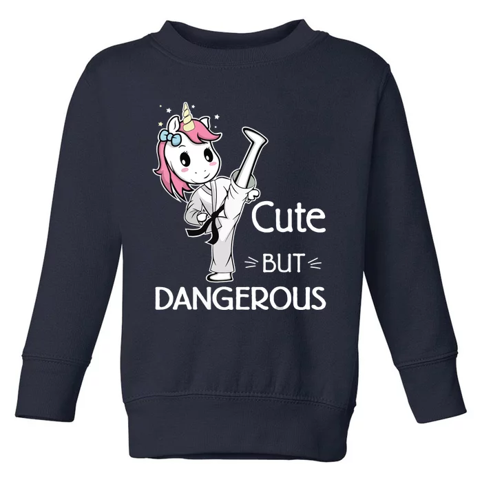 Cute But Dangerous Funny Karate Taekwondo Toddler Sweatshirt