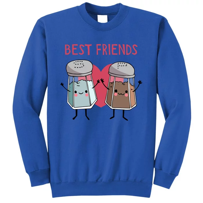 Cute Best Friends Salt And Pepper Gift Sweatshirt