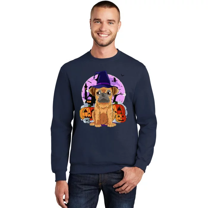 Cute Brussels Griffon Halloween Witch Pumpkin Tall Sweatshirt