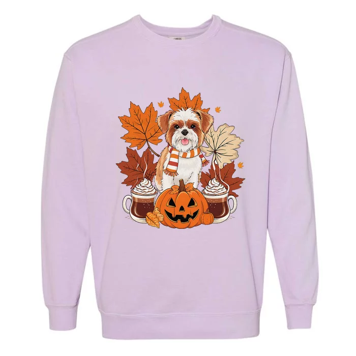 Cute Brussels Griffon Dog Cozy Scarf Autumn Halloween Coffee Garment-Dyed Sweatshirt