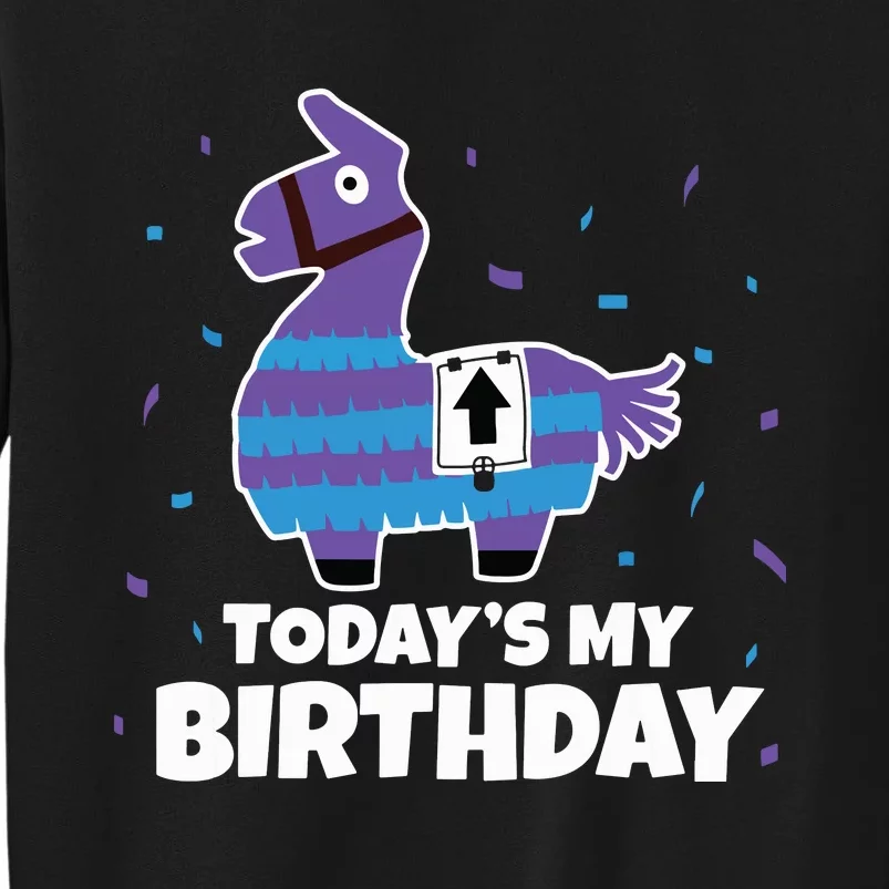 Cute Birthday Llama Funny Bday Animal Party Tee Sweatshirt