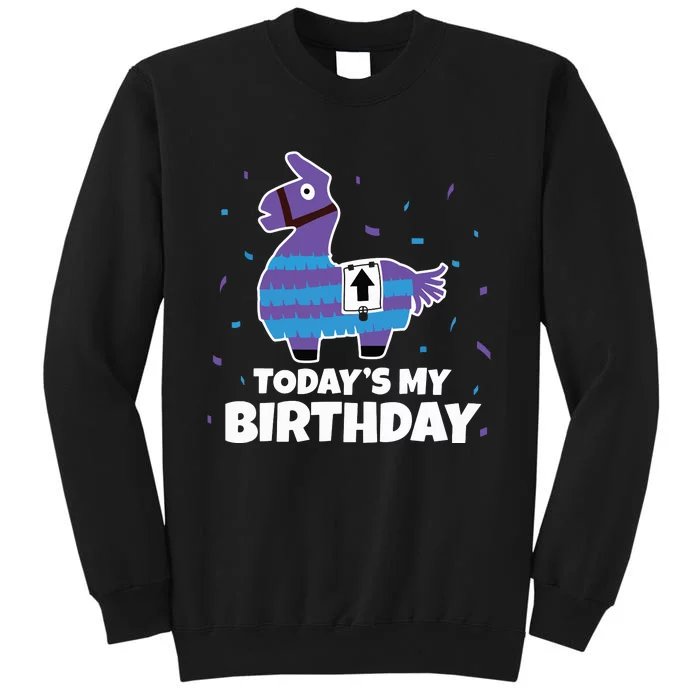 Cute Birthday Llama Funny Bday Animal Party Tee Sweatshirt