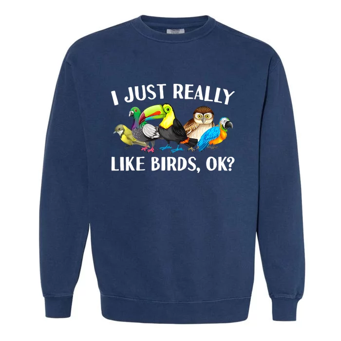 Cool Bird Lover Bird Watcher Nerd Parrot Birds Garment-Dyed Sweatshirt