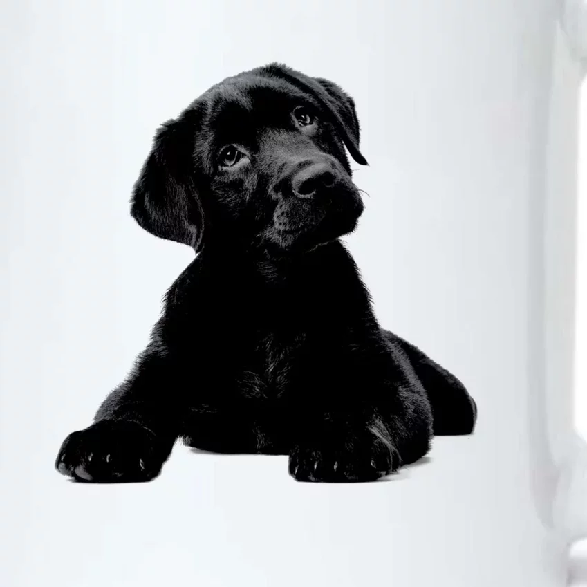 Cute Black Lab Puppy Dog Animal Lover Gift Black Color Changing Mug