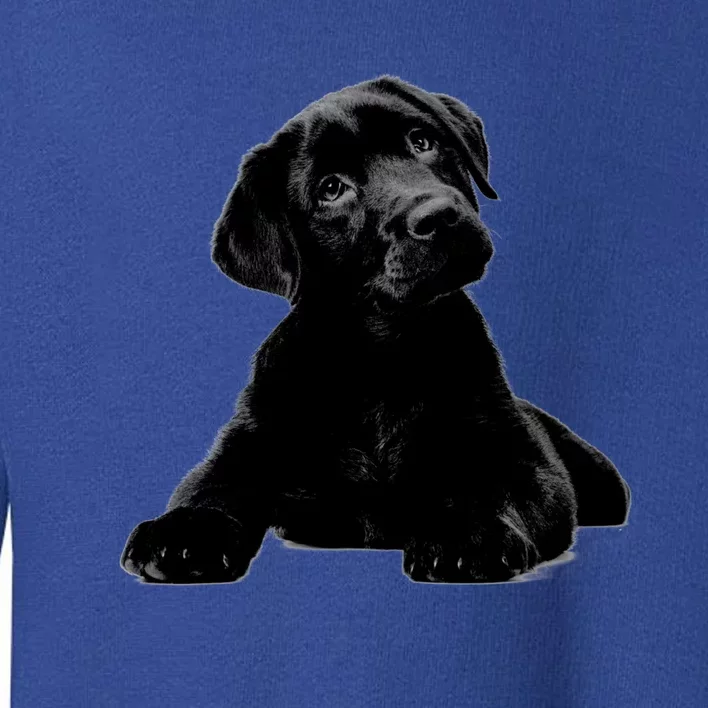 Cute Black Lab Puppy Dog Animal Lover Gift Toddler Sweatshirt