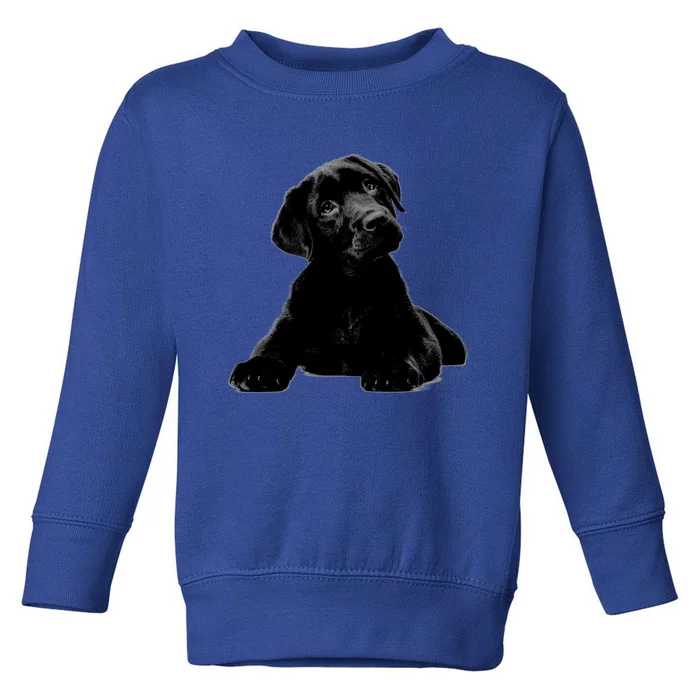 Cute Black Lab Puppy Dog Animal Lover Gift Toddler Sweatshirt