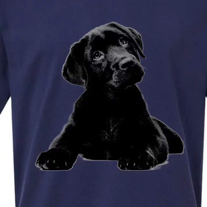 Cute Black Lab Puppy Dog Animal Lover Gift Sueded Cloud Jersey T-Shirt