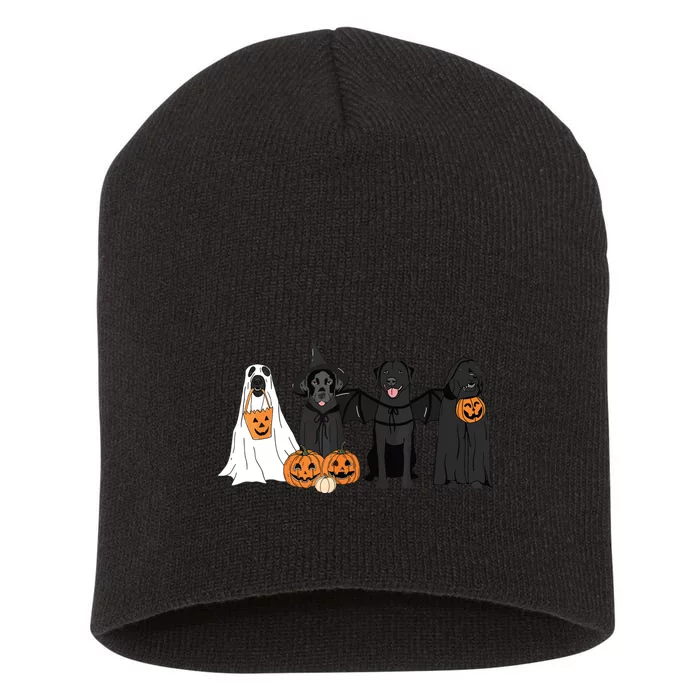 Cute Black Labrador Dog Halloween Pumpkin Labrador Dog Mom Short Acrylic Beanie