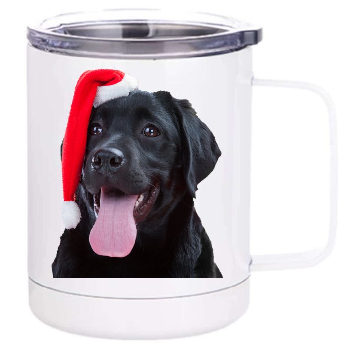 Cute Black Lab Santa Christmas Dog Funny Labrador Retriever Meaningful Gift Front & Back 12oz Stainless Steel Tumbler Cup