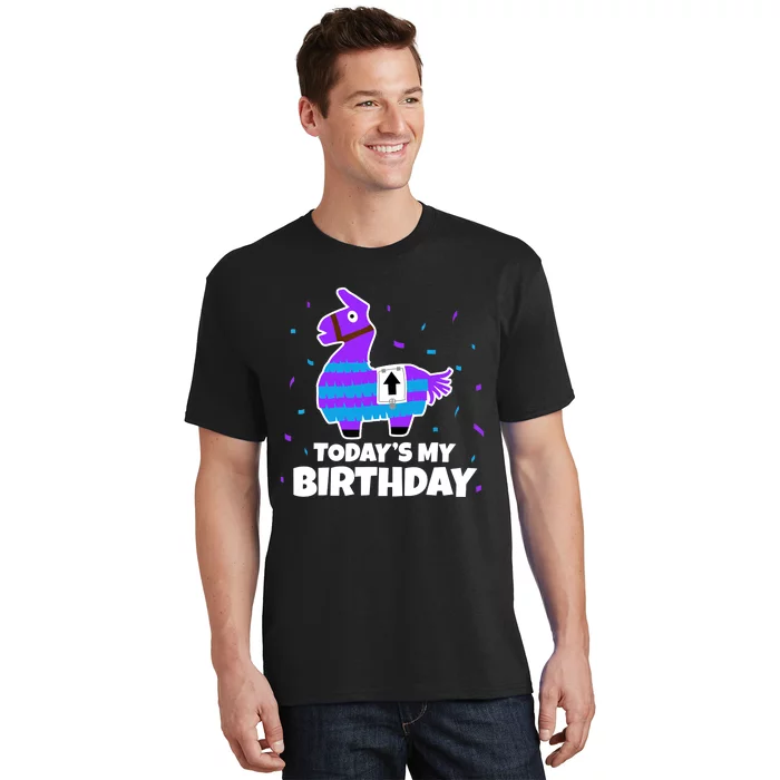 Cute Birthday Llama Funny Bday Animal Party T-Shirt