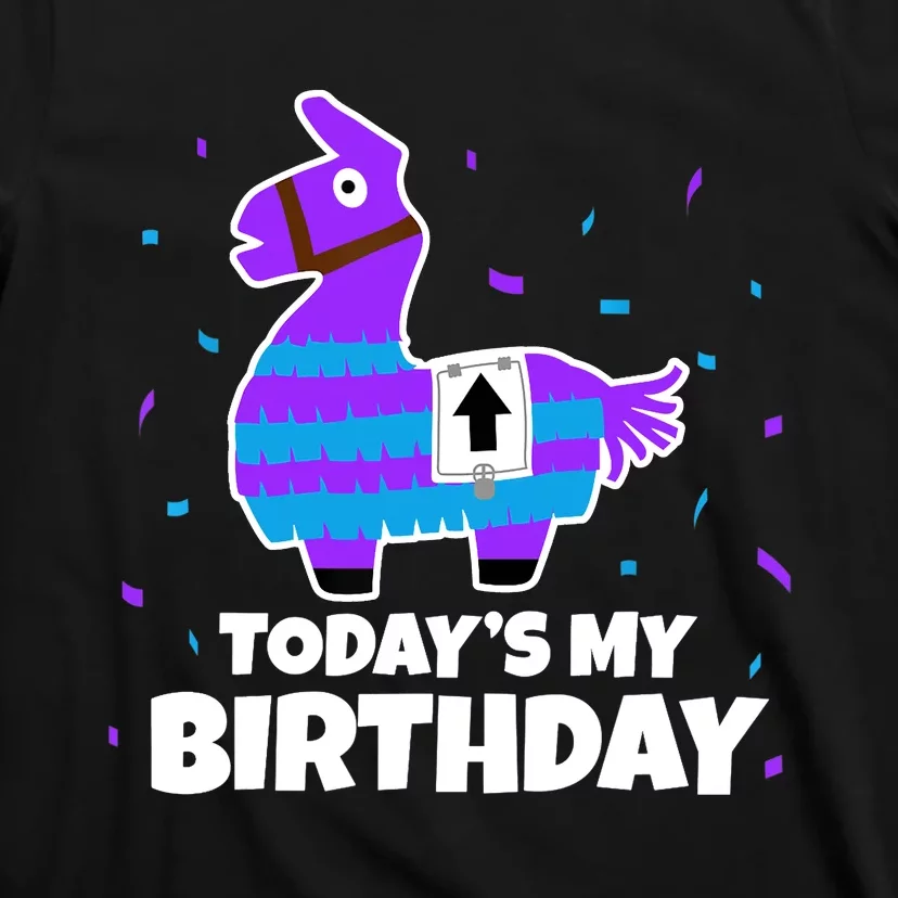 Cute Birthday Llama Funny Bday Animal Party T-Shirt