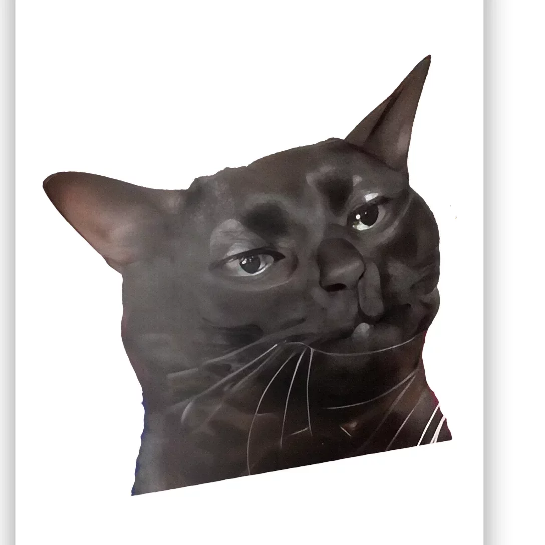 Cat Black Meme Dissociated Funny Internet Gift Poster