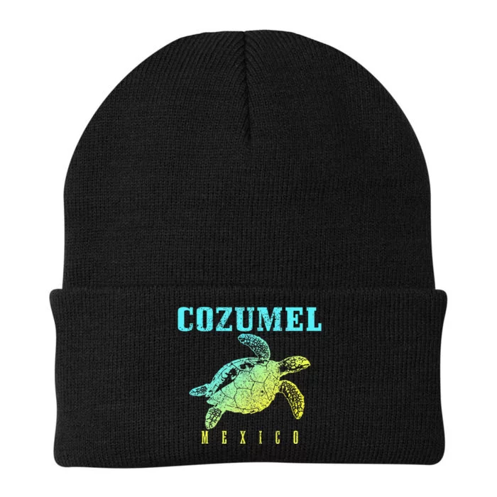 Cozumel Beach Mexico Sea Turtle Surfer Scuba Diving Knit Cap Winter Beanie