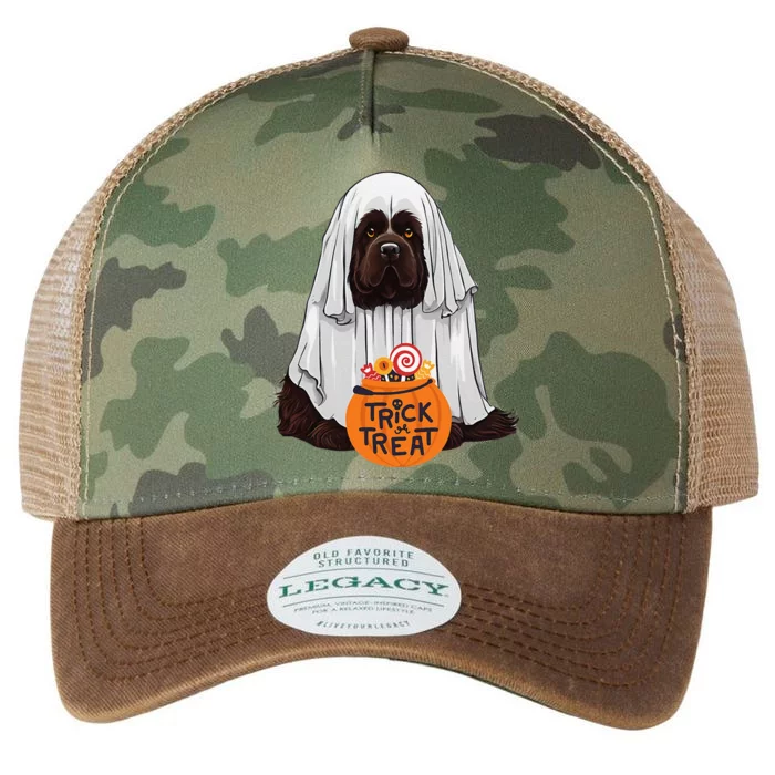 Cute Brown New Found Land Dog Halloween Legacy Tie Dye Trucker Hat