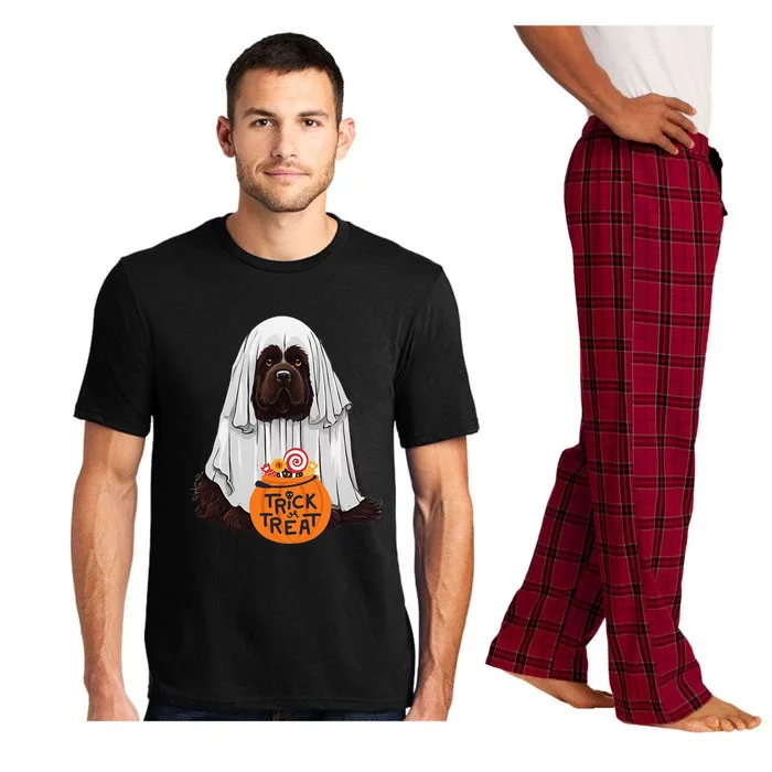 Cute Brown New Found Land Dog Halloween Pajama Set