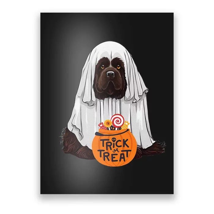 Cute Brown New Found Land Dog Halloween Poster