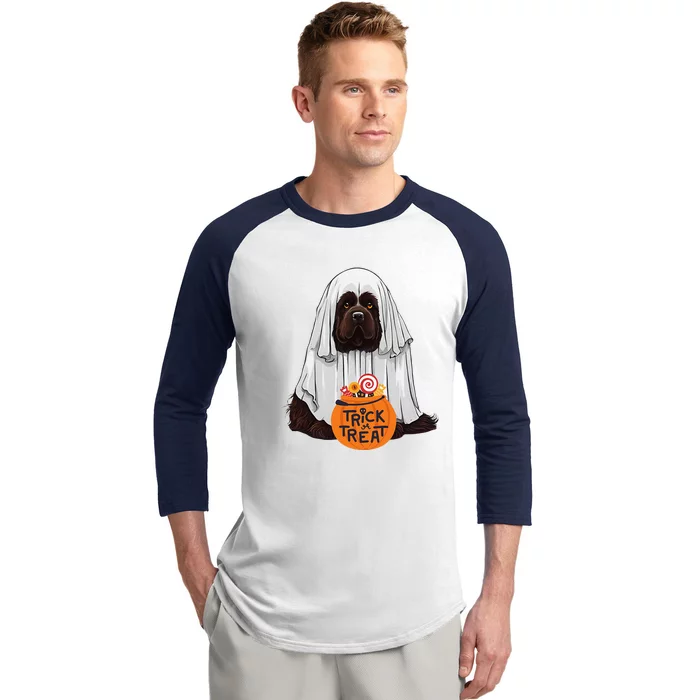 Cute Brown New Found Land Dog Halloween Baseball Sleeve Shirt