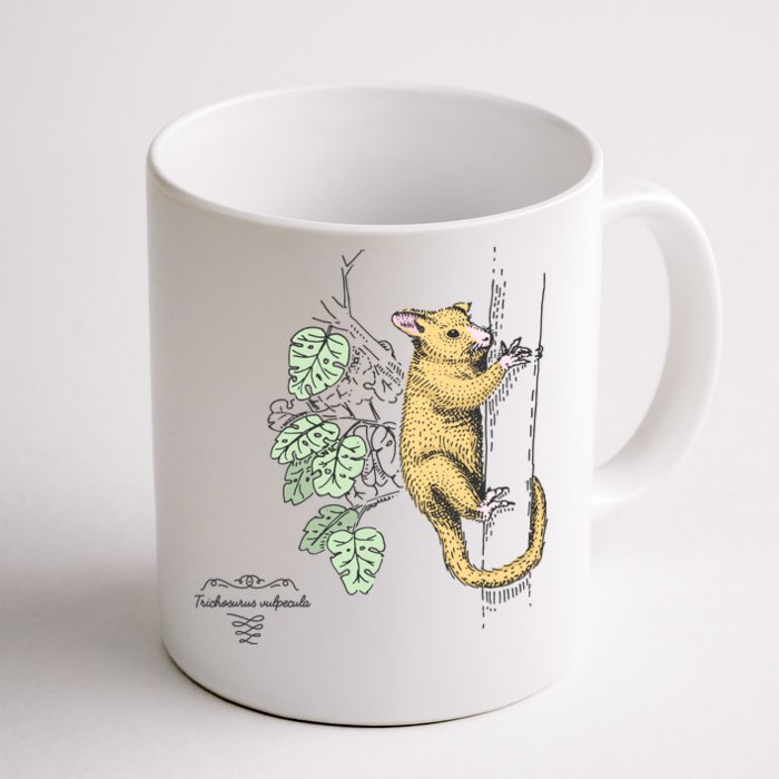 Common Brushtail Possum Trichosurus Vulpecula Engraved Front & Back Coffee Mug