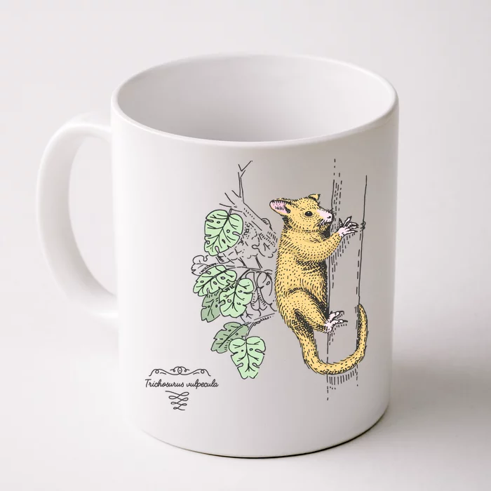 Common Brushtail Possum Trichosurus Vulpecula Engraved Front & Back Coffee Mug