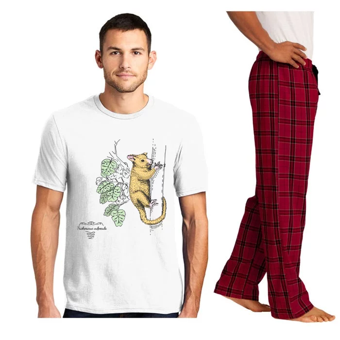 Common Brushtail Possum Trichosurus Vulpecula Engraved Pajama Set