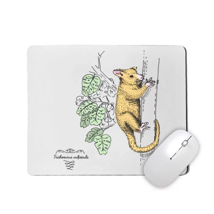 Common Brushtail Possum Trichosurus Vulpecula Engraved Mousepad