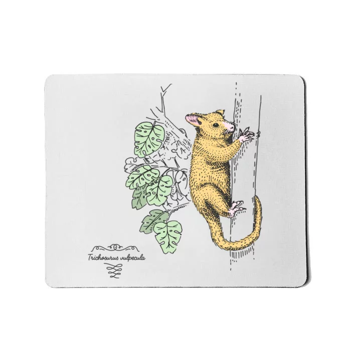 Common Brushtail Possum Trichosurus Vulpecula Engraved Mousepad