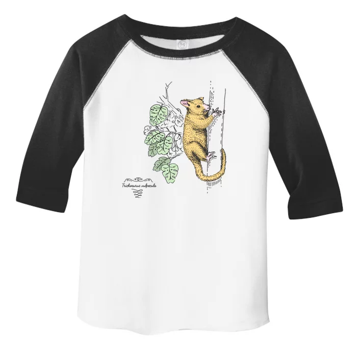 Common Brushtail Possum Trichosurus Vulpecula Engraved Toddler Fine Jersey T-Shirt