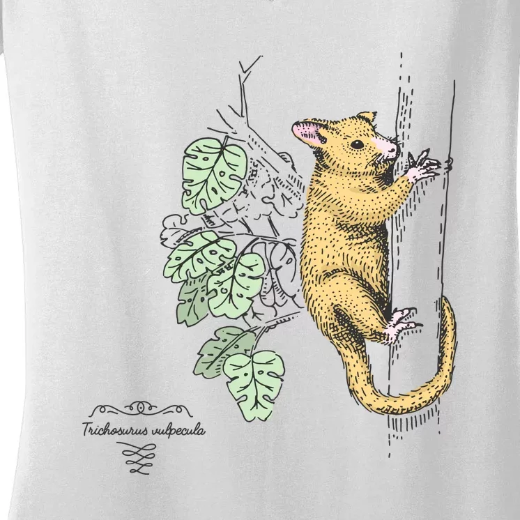 Common Brushtail Possum Trichosurus Vulpecula Engraved Women's V-Neck T-Shirt