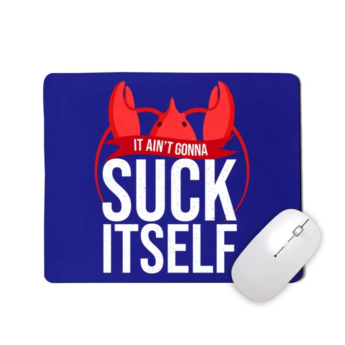 Crawfish Boil Party Well It Aint Gonna Suck Its Mardi Gr Gift Mousepad