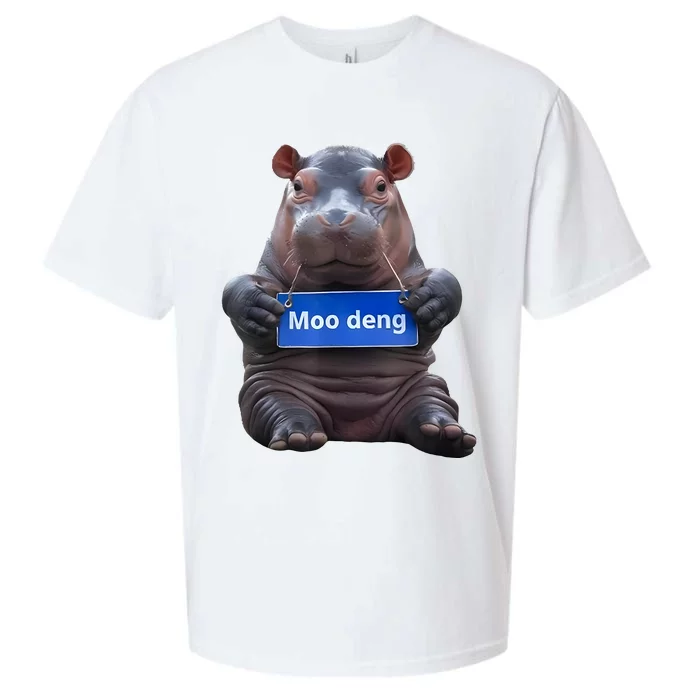 Cute Baby Pygmy Hippo Moo Deng Sueded Cloud Jersey T-Shirt