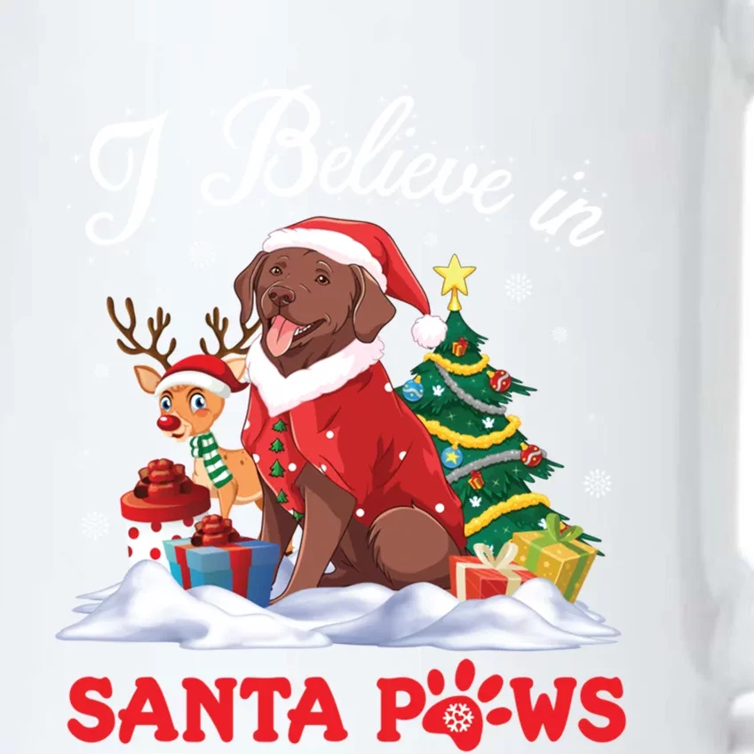 Chesapeake Bay Retriever Dog I Believe In Santa Paws Merry Gift Black Color Changing Mug