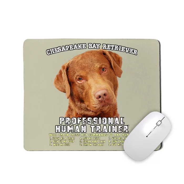 Chesapeake Bay Retriever Professional Human Trainer Cute Dog Mousepad