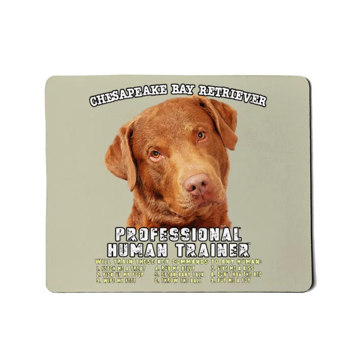 Chesapeake Bay Retriever Professional Human Trainer Cute Dog Mousepad