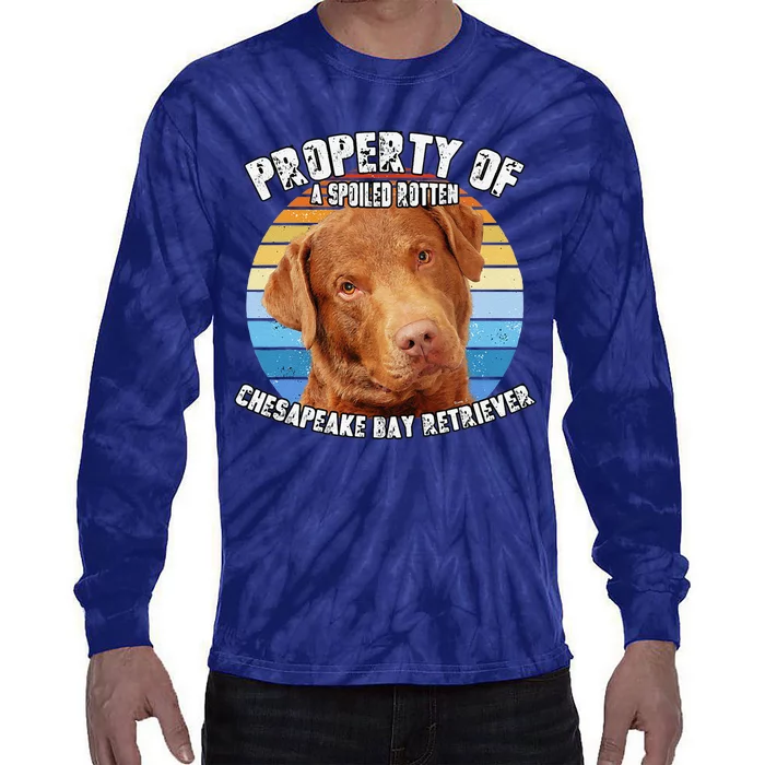 Chesapeake Bay Retriever Property Of Cute Dog Tie-Dye Long Sleeve Shirt