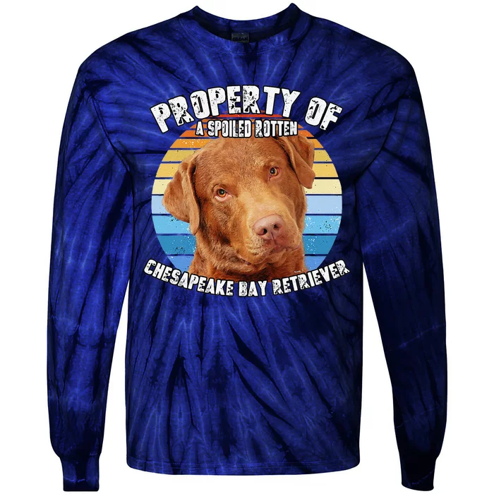 Chesapeake Bay Retriever Property Of Cute Dog Tie-Dye Long Sleeve Shirt